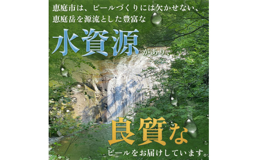 【ビール飲み比べ定期便：全11回】サッポロクラシックと黒ラベル各350ml×24本