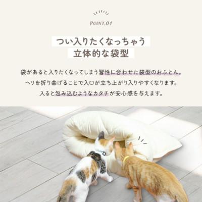 ふるさと納税 都城市 お布団屋さんが作った ねこのおふとん「はいるにゃん(R)」Mサイズ　ブラウン　ry0119mBR |  | 01