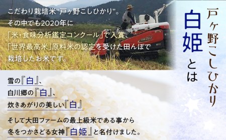 先行予約 令和5年産 白川郷 戸ヶ野のこしひかりプレミアム 白姫 2kg こだわりのお米 精米 コシヒカリ 岐阜県 飛騨 世界最高米 認定 農家 9000円 [S438]