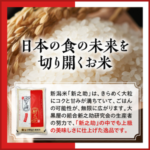 【2026年8月中旬発送】令和7年産 新潟県上越妙高産新之助5kg※沖縄県・離島配送不可