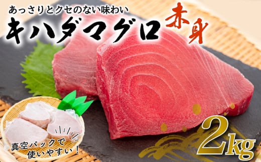 訳あり 大満足！もちもち キハダマグロ 赤身 2kg キハダ マグロ 鮪 魚 魚介類 海鮮 新鮮 国産 国産マグロ 惣菜 おかず 手軽 便利 刺し身 刺身 切身 海鮮丼 鉄火丼 マグロ丼 ふるさと納税 人気 ふるさと納税まぐろ ふるさと納税鮪 TY037