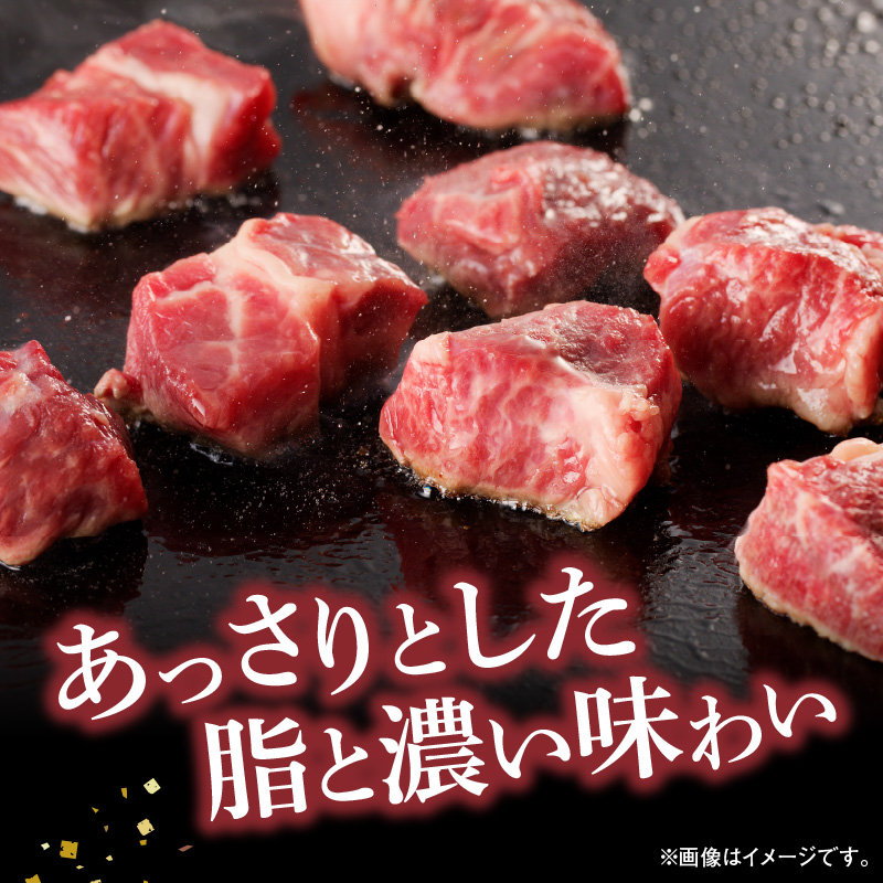 宮崎牛A5　赤身サイコロステーキ600g　N0140-YA756