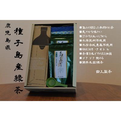ふるさと納税 南種子町 鹿児島県種子島産　田上製茶の水出し煎茶セット |  | 01