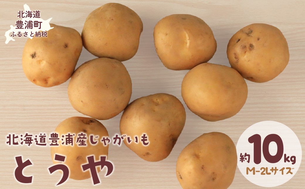 
                  【先行予約】北海道豊浦産じゃがいも とうや 約10kg M-2Lサイズ 【2026年9月下旬～10月下旬発送】 野菜 じゃがいも 芋 ポテト ジャガイモ ポテサラ ポテトサラダ 国産 北海道 豊浦町 
                