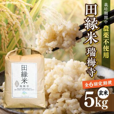ふるさと納税 糸島市 【全6回定期便】 田縁米(でんえんまい)・瑞梅寺(ずいばいじ) 玄米 5kg 米 [ATM009]