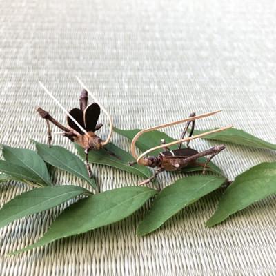 ふるさと納税 静岡市 駿河竹千筋細工 角型虫篭(鈴虫付) |  | 02