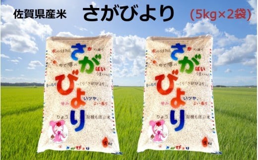 
                  佐賀県産米『さがびより』10kg（5kg×2袋）
                