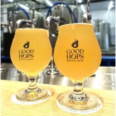 クラフトビール GOOD HOPS 遠野の息吹 インディアペール ラガー 6本セット 缶ビール【配送不可地域：離島】【1710101】