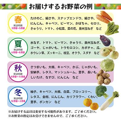 ふるさと納税 泉佐野市 【毎月定期便】泉州野菜 定期便 15種類以上 詰め合わせ 新鮮 冷蔵 全6回 |  | 02