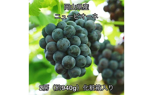 ニューピオーネ2房 (約940g) 化粧箱入り 岡山県産
