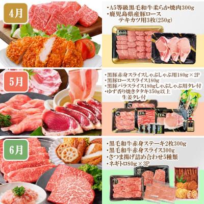 ふるさと納税 枕崎市 定期便(10回)枕崎お楽しみ便(黒毛和牛・黒豚・まぐろ・かつお・さつまあげ等)II-0025 |  | 02