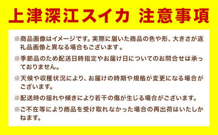 天草産上津深江 スイカ 1玉 髙橋商店 《6月末-8月中旬頃出荷》熊本県 苓北町 フルーツ 果物 くだもの スイカ すいか 西瓜 盆すいか 上津深江スイカ