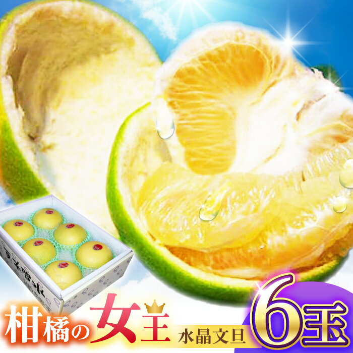 【ふるさと納税】南国土佐の女王柑橘 水晶文旦 約3kg 6玉入り〈2025年9月中旬〜2025年12月下旬頃発送〉/ ぶんたん 文旦 フルーツ 高知名物 果物 【フルーツショップオザキ】[ATAH007]