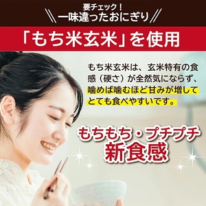 SA0875　もち米 玄米おにぎりセット　計20個(4種×各5個)
