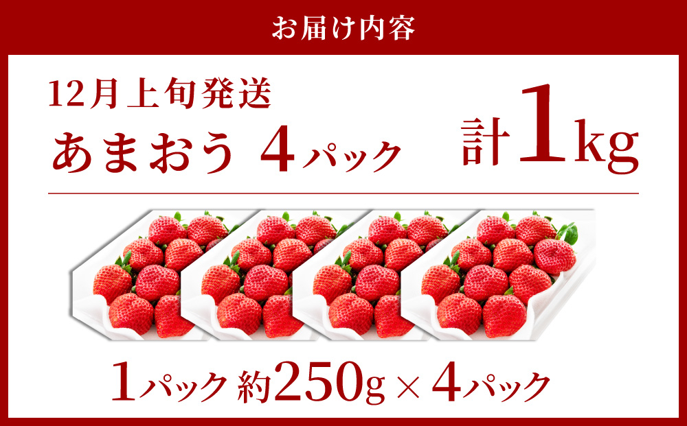 アフター保証対象！【先行予約】福岡産 冬 あまおう 4パック（12月上旬より発送） | 苺 いちご イチゴ 完熟 あかい まるい おおきい うまい フルーツ 果物 デザート 期間限定 産地直送 冷蔵 