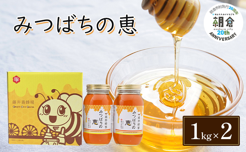【朝倉市制施行20周年記念企画】 はちみつ みつばちの恵 1kg×2 バラエティボックス入 ハチミツ 蜂蜜 