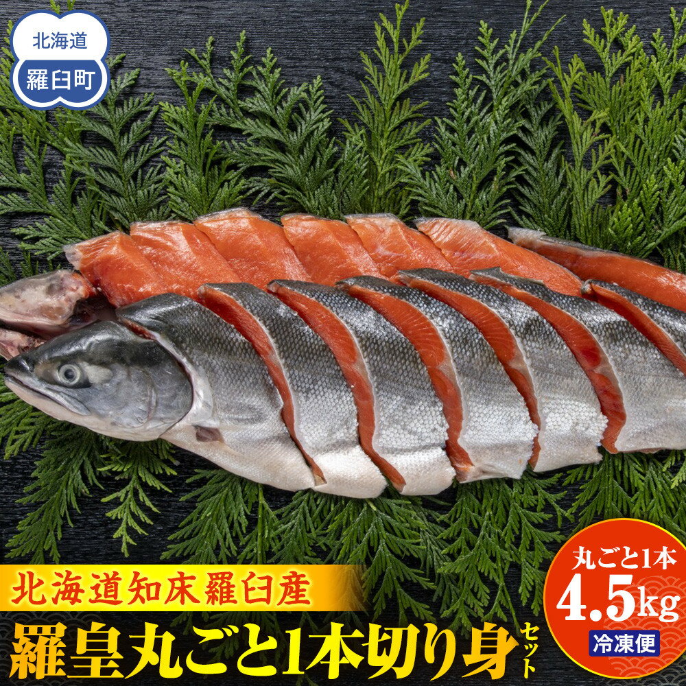 【ふるさと納税】北海道知床羅臼(らうす)産 羅皇丸ごと1本4.5kg切り身セット 生産者 支援 応援