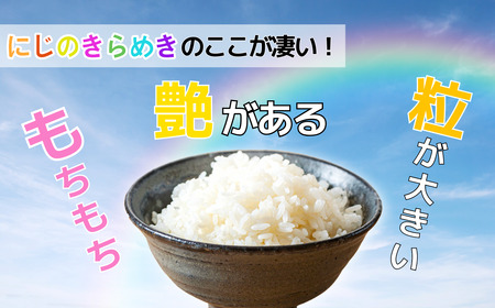 【先行予約】 [ 令和7年産 新米予約 ]沼田さんちの満点 にじのきらめき 10kg (7-62A） 長野県 飯山市 おすすめ ランキング おいしい 高評価 大人気 こしひかり