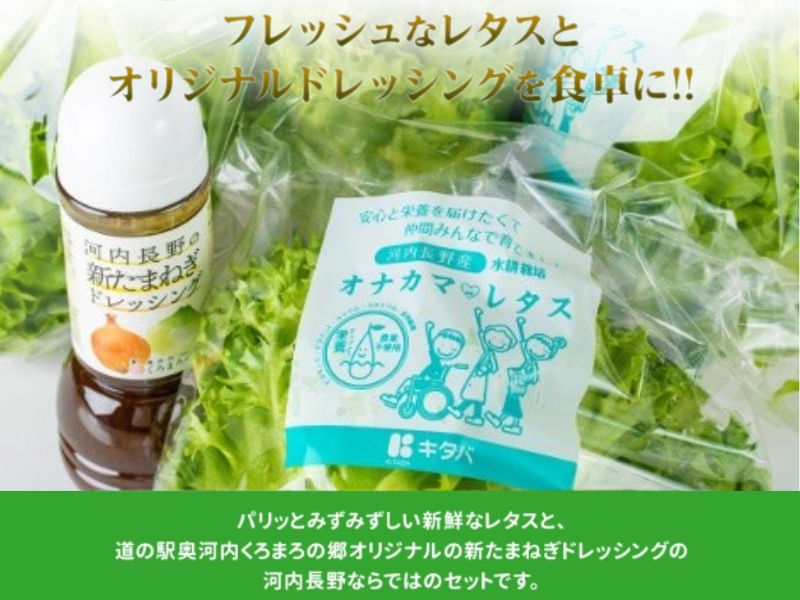 【定期便　毎月お届け３ヵ月】とれたてレタスと玉ねぎドレッシングセット　サラダ 副菜 常備野菜 炒め物 スープ チャーハン 鍋料理 巻物 冷製料理 朝食 昼食 夕食 付け合わせ サンドイッチ ハンバーガ