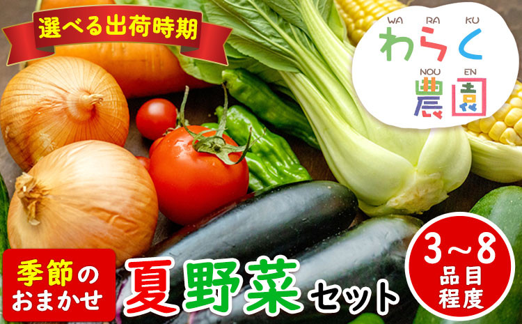 
季節のおまかせ『夏』野菜セット 3～8品目程度 わらく農園《出荷時期をお選びください》熊本県 葦北郡 津奈木町 野菜 野菜セット
