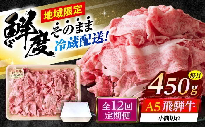 
                  【12回定期便】 ※冷蔵配送/地域限定※ 飛騨牛 小間切 450g 瑞浪市 / きなぁた瑞浪 和牛 国産 岐阜県産 [AZCI070]
                