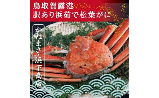 鳥取賀露港 訳あり浜茹で松葉がに 大 1枚【かねまさ・浜下商店】 312011_AZ006