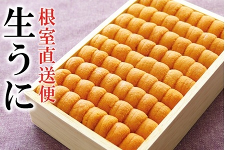 ムラサキウニ250g×1折 C-40027