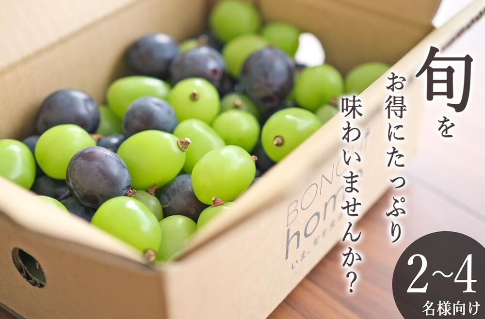 【ふるさと納税】 ぶどう シャインマスカット ピオーネ 粒詰め MIX 約1kg 果物 フルーツ 葡萄 ブドウ 2025年発送 人気 甘い たっぷり 果実 くだもの 産地直送 冷蔵 クール 期間限定 8月下旬～9月下旬頃 発送 自然農法 山梨県 甲州市 社員マスカット （BNC） 【B15-490】