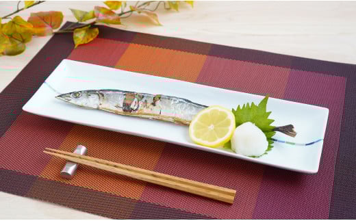 有田焼 irodori ライン パーティー長皿2枚セット よう楽庵・たかすオリジナル A30-249