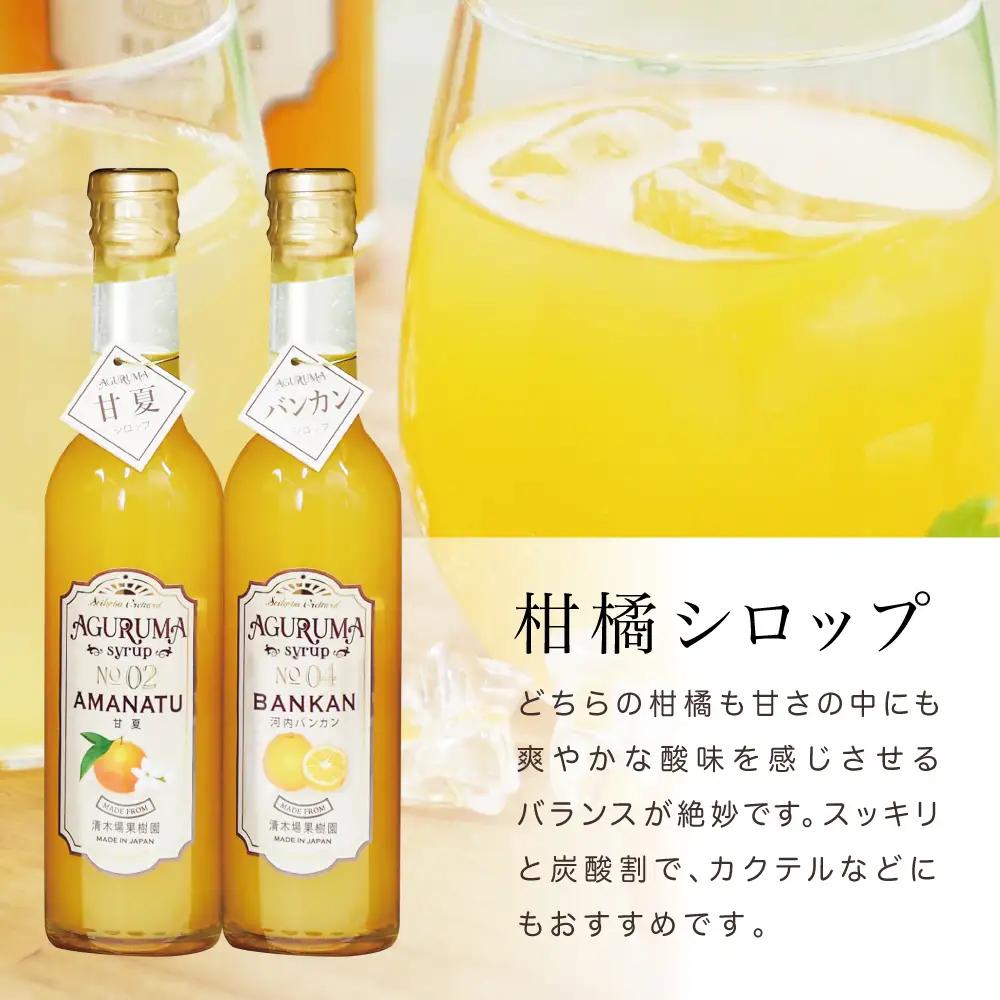 マーマレード＆シロップ4本セット（甘夏・河内バンカン）フルーツシロップ 柑橘 果物 フルーツ ジュース フルーツソース 炭酸割り ハイボール カクテル かき氷 ヨーグルト アイス パンケーキ ギフト 