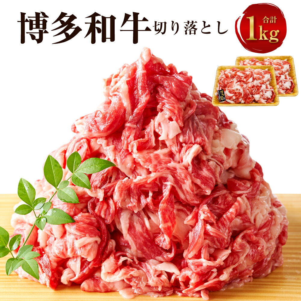 【ふるさと納税】博多和牛 切り落とし 1kg（500g×2パック）黒毛和牛 牛肉 肉 お肉 国産牛 国産牛肉 和牛 牛肩 肩肉 赤身 牛バラ バラ肉 料理 冷凍 お取り寄せグルメ 化粧箱入り 博多 九州 福岡県 福津市 送料無料 [G0096]