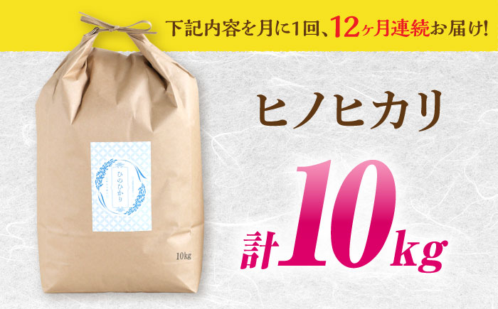 【南島原市産ヒノヒカリ】10kg×12回 定期便 / 米 / 南島原市 / 林田米穀店 [SCO007]