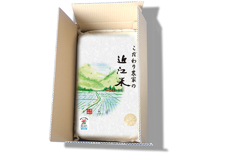 【PRキャンペーン対象】【6年産】近江米 環境こだわり栽培 みずかがみ 無洗米 【10kg×1】【BN02U1】