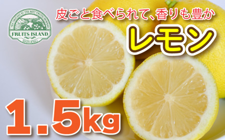 レモン 約 1.5kg 12個  愛媛県 愛南町 フルーツアイランド マルエム直販 【レモン】 