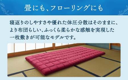 【大刀洗町限定】エアウィーヴ 四季布団 和匠 セミダブル × エアウィーヴ ピロー S-LINE セット 寝具