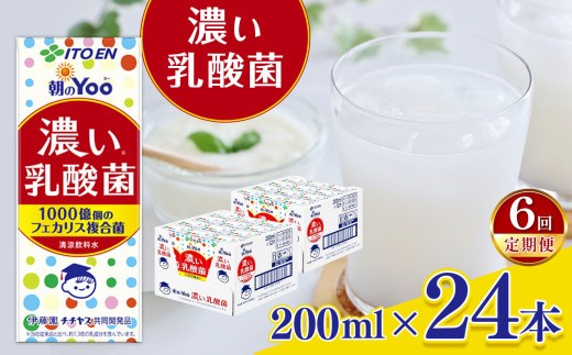 【定期便6回】朝のＹｏｏ濃い乳酸菌２００ml×２４本 伊藤園   | 乳酸菌 ジュース ドリンク 飲料 健康 食品 長期常温可能 1ケース 長野県 松本市 ふるさと納税