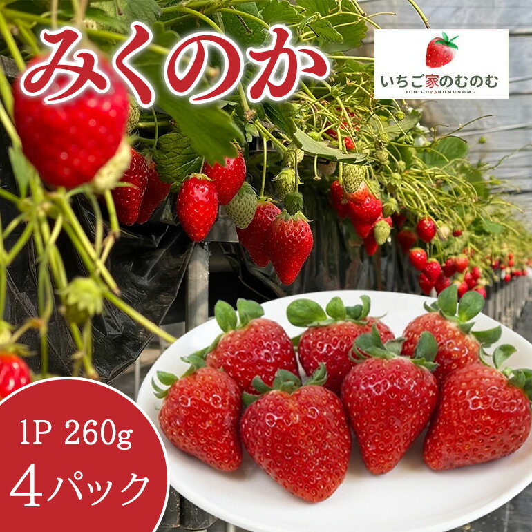 【ふるさと納税】 いちご 【みくのか】 4p イチゴ 苺 フルーツ 果物 くだもの 旬 産地直送 茨城県 石岡市 A28-009