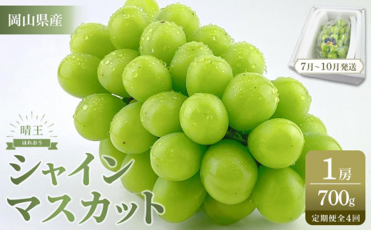 
                  【定期便 全4回／2026年7～10月毎月発送】岡山県産 シャインマスカット 晴王 1房 約700g ４回定期便　 ７月・８月・９月・10月に１回づつお届け　種無し 皮ごと食べる フレッシュ 先行受付　ハレノスイーツ | フルーツ 果物 くだもの ぶどう ブドウ シャインマスカット 晴王  種なし 皮ごと フレッシュ 国産 岡山県産 食品 人気 おすすめ 送料無料 定期便 ギフト 贈り物 贈答品 プレゼント ブドウ シャインマスカット 晴王
              