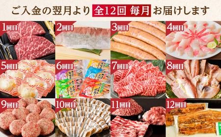 【 肉 × 魚 】 12回 定期便 K000-T2503 牛肉 豚肉 うなぎ 刺身 黒毛和牛 ステーキ ウインナー 金目鯛 しゃぶしゃぶ 肉まん 惣菜 赤身 焼肉 干物 ハンバーグ キビナゴ 蒲焼 限