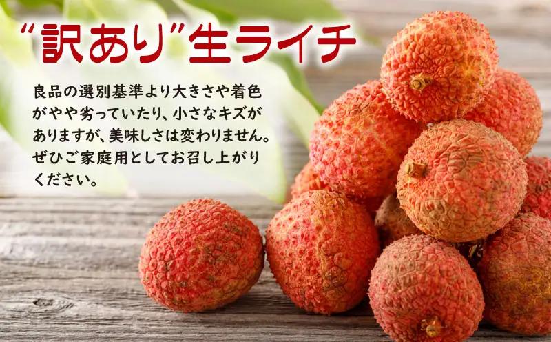 A1-22564／【 訳あり品 】【 期間限定 】 生ライチ 500g 訳あり 温泉水で育てた希少な 国産 ライチ ！