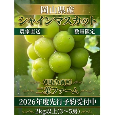 【2026年先行受付】岡山のぶどう(シャインマスカット)2kg(3～5房)【配送不可地域：離島】
