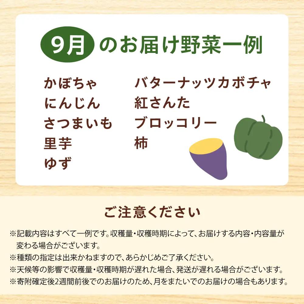 高槻野菜おまかせ詰め合わせセット 9月（10種〜15種）[AOCS015]野菜セット