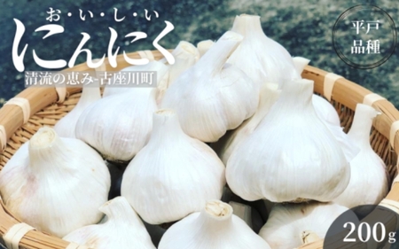 古座川町の恵みが育んだ ご縁座の乾燥にんにく 200g / にんにく 乾燥にんにく ガーリック【gnz106】