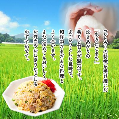 ふるさと納税 大館市 【令和7年産】あきたこまち(精米)5kg(5kg×1袋) |  | 02