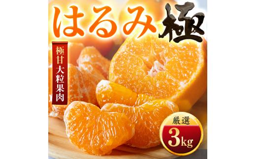 【先行受付】【果汁あふれる】とろ甘食感 はるみ　3kg　愛媛県産【49-122】ふるさと納税 みかん  柑橘 果物 フルーツ おすすめ はるみ 春見 甘い 3kg 4kg 5kg 10kg 愛媛県 八幡浜市 【1756045】 YWTZ089