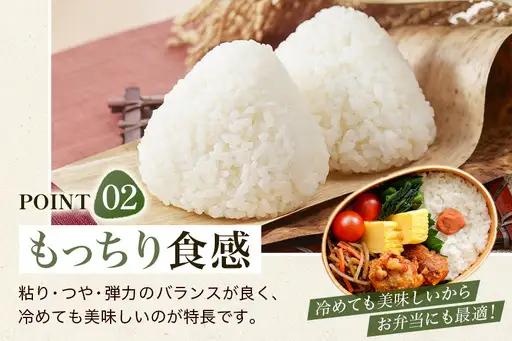【3回定期便】【ふるさと納税】ひのひかり 米 お米 玄米 20kg 20キロ 福岡県産 うきは市 国産 精米 ご飯 ごはん おにぎり お弁当 人気 おすすめ 家庭用 送料無料 新米 ストック 厳選 農