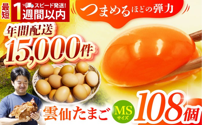 
            【卵 スピード発送】雲仙たまご MSサイズ108個(100個＋割れ補償8個入り) 長崎県/塚ちゃん雲仙たまご村 [42ACAE005] 卵 玉子 タマゴ 鶏卵 長崎 島原 九州 大容量 たっぷり 
          