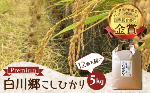 【令和8年産 先行予約】定期便 12回 白川郷 戸ヶ野のこしひかりプレミアム 5kg×12回 精米 コシヒカリ 大田ファーム【2026年11月下旬より発送】[S528]