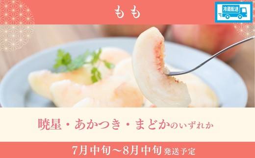 福島のフルーツ定期便_EH-2【2027年発送　先行予約】No.3501