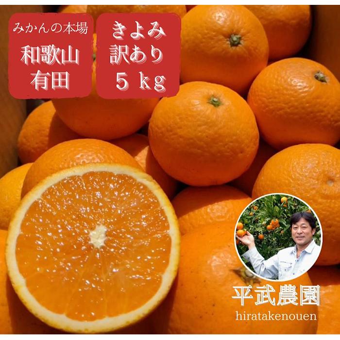 【ふるさと納税】農家直送！きよみオレンジ訳あり5kg［平武農園］～蛍飛ぶ町から旬の便り～［2025年3月中旬～4月下旬頃発送予定］ | フルーツ 果物 くだもの 食品 人気 おすすめ 送料無料
